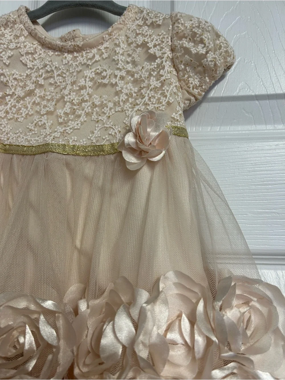 Blueberi Boulevard Champagne Dress With Roses and Coat With Roses Print